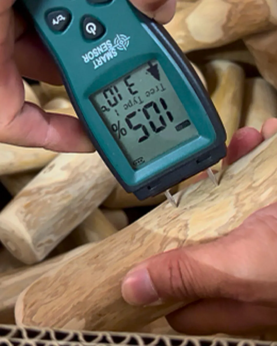 A pin-type moisture meter reading 10.5 per cent in a finished coffee wood dog chew