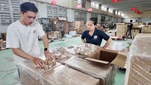Video: Coffee Wood Dog Chew: Inside Our Quality Inspection Process