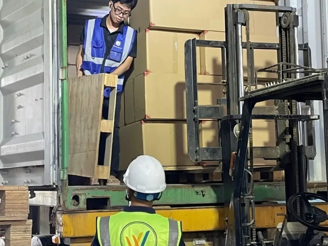A forklift placing a palletised load of coffee wood dog chews into a container